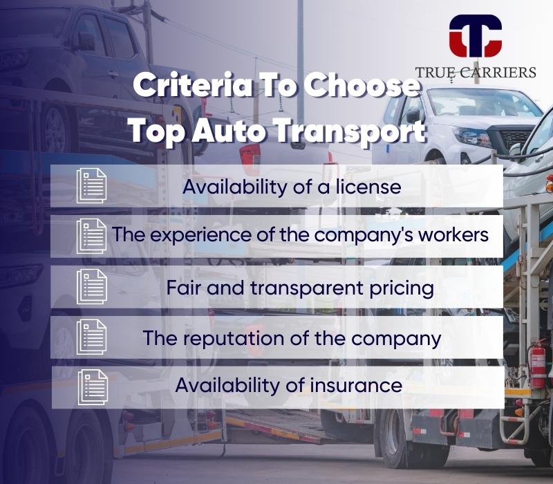 What Should You Look For In An Auto Transport Company