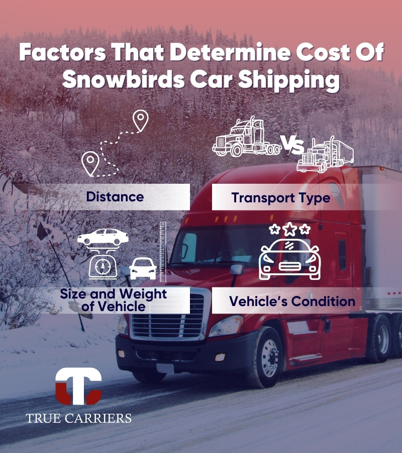 How Much Does Snowbirds Car Shipping Cost?
