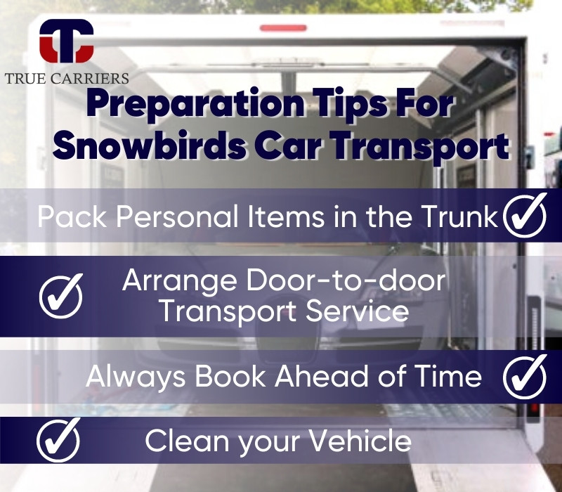 Snowbirds Car Transport Tips