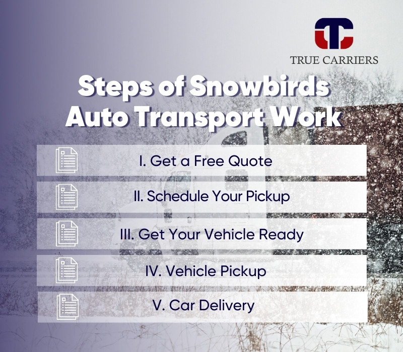 How Does Snowbirds Auto Transport Work?