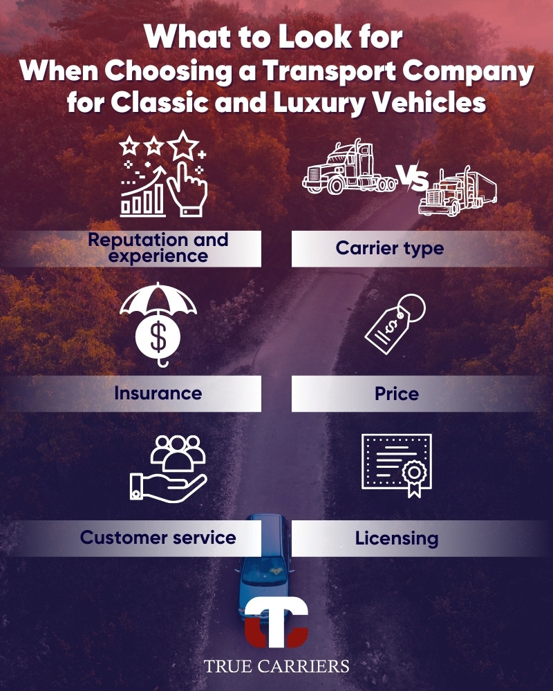 Factors to Consider When Choosing an Auto Transport Company for Classic and Luxury Vehicles