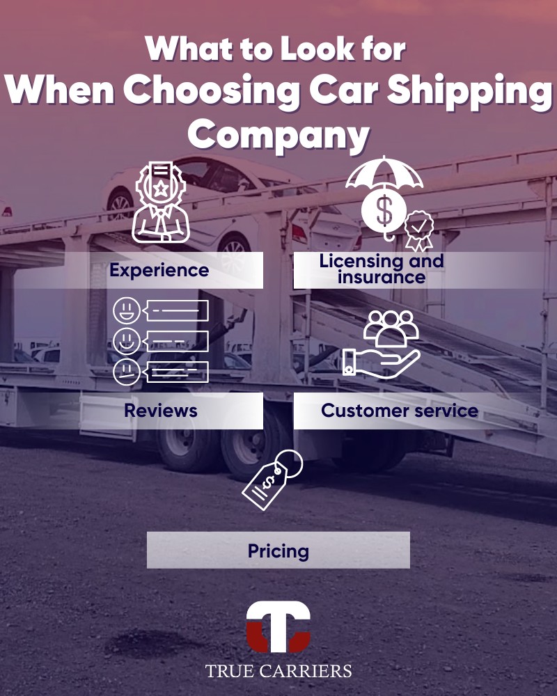 factors to consider when Choosing the Right Car Shipping Company